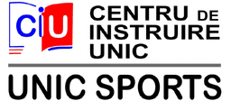 Unic Consulting logo